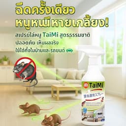 ภาพย่อ 1