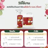 ภาพย่อ 5