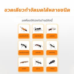 ภาพย่อ 6