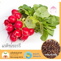 ภาพย่อ 1