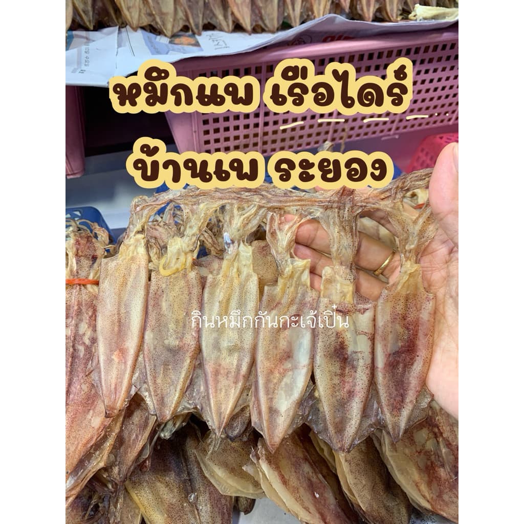 หมึกแพเรือไดร์ บ้านเพ ระยอง เค็มน้อย ทำเอง นะคะ - รูปที่ 1