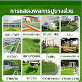 ภาพย่อ 7