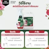 ภาพย่อ 4