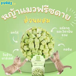 ภาพย่อ 2