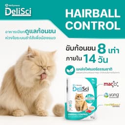ภาพย่อ 3