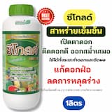 ภาพย่อ 2