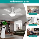 ภาพย่อ 7