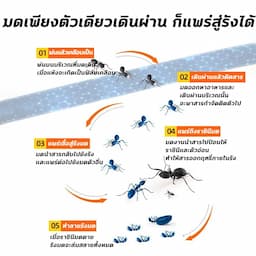 ภาพย่อ 5