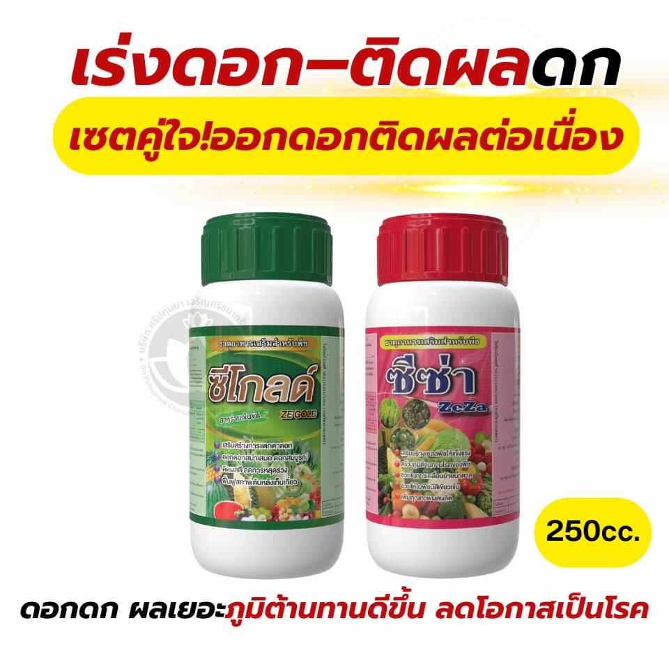 สูตรแก้ดอกออกน้อยดอกร่วงผลไม่ดก ช่วยดอกออกพร้อม–ออกดกขึ้น  ลดดอกร่วง–ผลอ่อนร่วง ติดผลดีขึ้น  ขนาดผลดี น้ำหนักขึ้น ผิวสวย - รูปที่ 1
