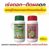 ภาพย่อ 1