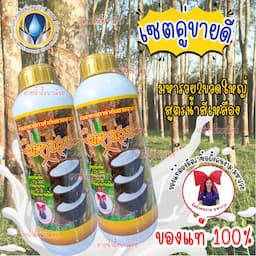 ภาพย่อ 3