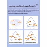 ภาพย่อ 2