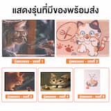 ภาพย่อ 6