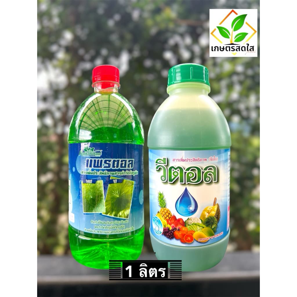 สารจับใบ สูตรเข้มข้น สารเสริมประสิทธิภาพทนการชะล้าง *ขนาด 1 ลิตร - รูปที่ 1