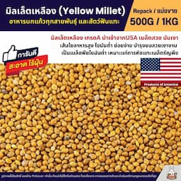 ภาพย่อ 1