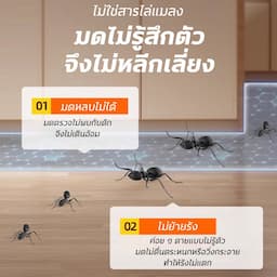 ภาพย่อ 3